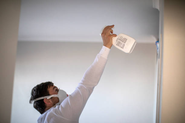 Best Post-Flood Mold Remediation in Chetek, WI