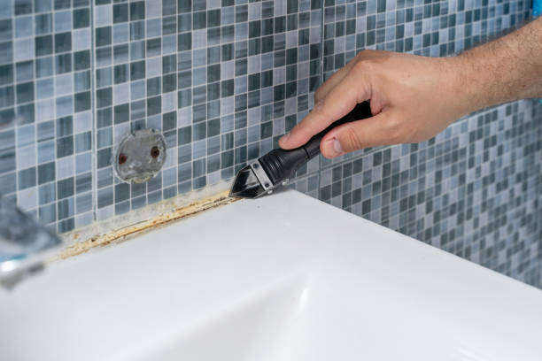 Best Localized Mold Remediation (e.g., coastal areas, humid climates) in Chetek, WI